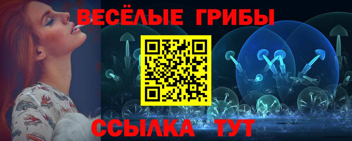 Псилоцибиновые грибы GOLDEN TEACHER Ишимбай